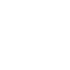 x image