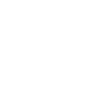 x image